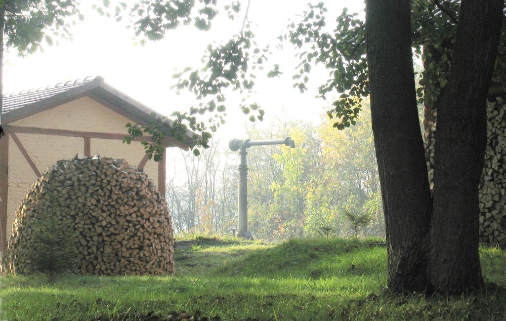 Apartamenty Carskie Białowieża Dış mekan fotoğraf