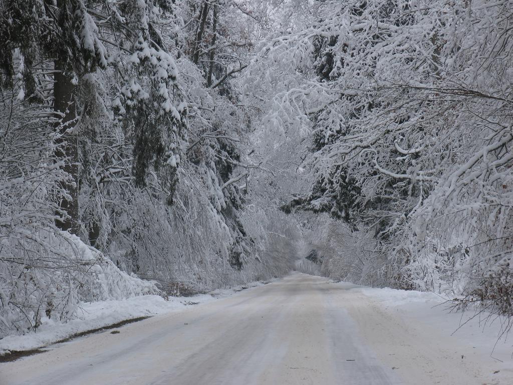 Apartamenty Carskie Białowieża Dış mekan fotoğraf